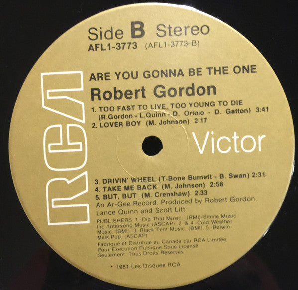 Robert Gordon – Are You Gonna Be The One (Used vinyl)