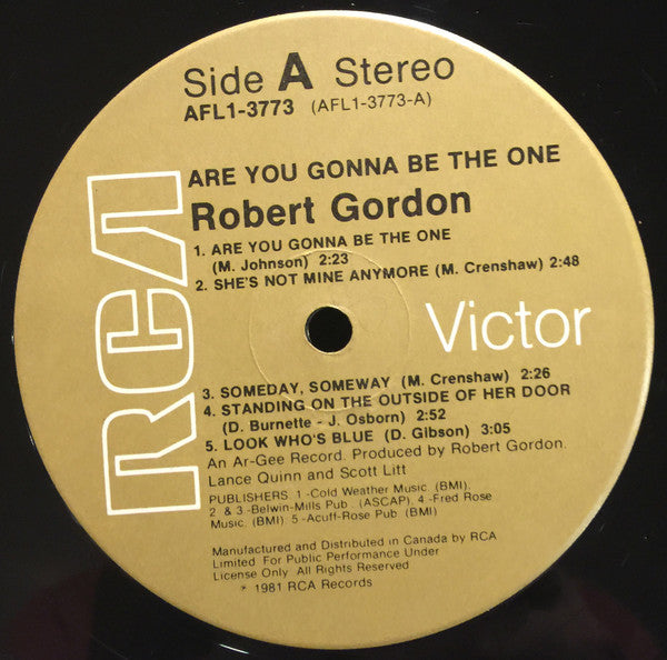 Robert Gordon – Are You Gonna Be The One (Used vinyl)