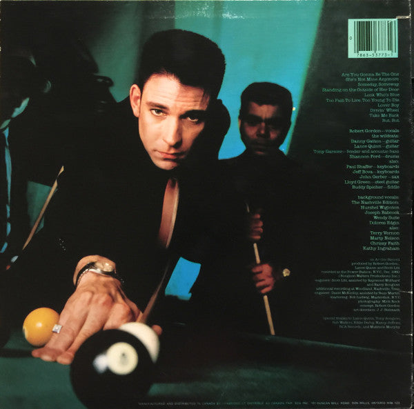 Robert Gordon – Are You Gonna Be The One (Used vinyl)