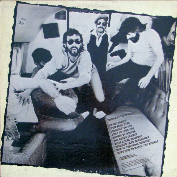 The Doobie Brothers – Minute By Minute (Used vinyl)