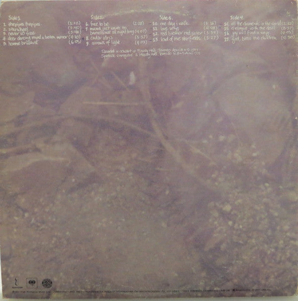 Bruce Cockburn – Circles In The Stream - Used vinyl