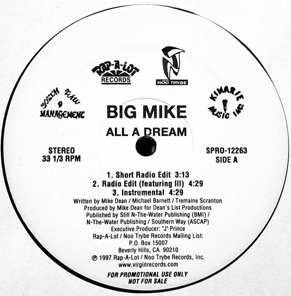 Big Mike – All A Dream (Used vinyl)