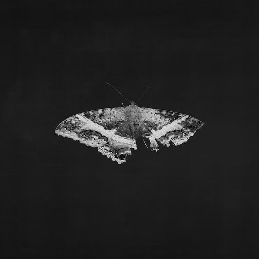 Kendrick Lamar - To Pimp a Butterfly (10 Year Anniversary Edition) Alternate Artwork) (2LP)