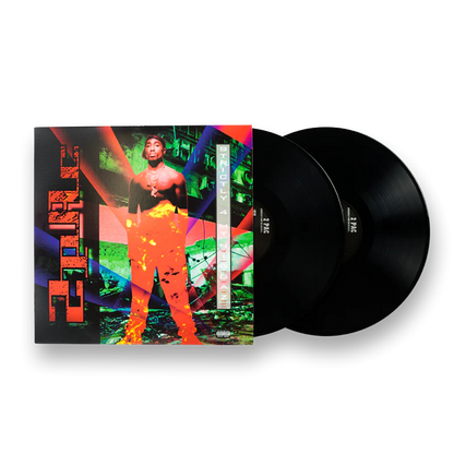 2Pac - Strictly 4 My N.I.G.G.A.Z... 2LP (2018 Reissue), 25th Anniversary Edition (New vinyl)