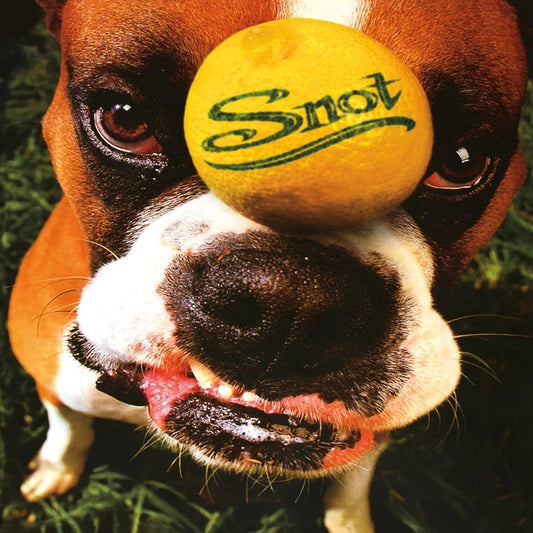Snot - Get Some (New vinyl)