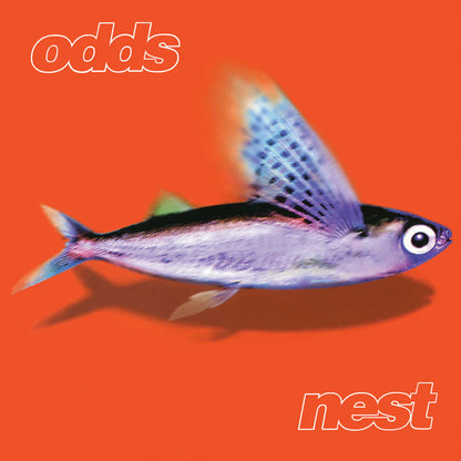 Odds – Nest (New Vinyl) (Limited Edition First Pressing)