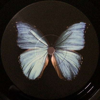 Metric – Fantasies (Used vinyl)