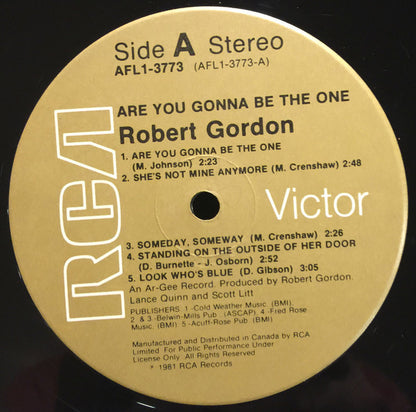Robert Gordon – Are You Gonna Be The One (Used vinyl)