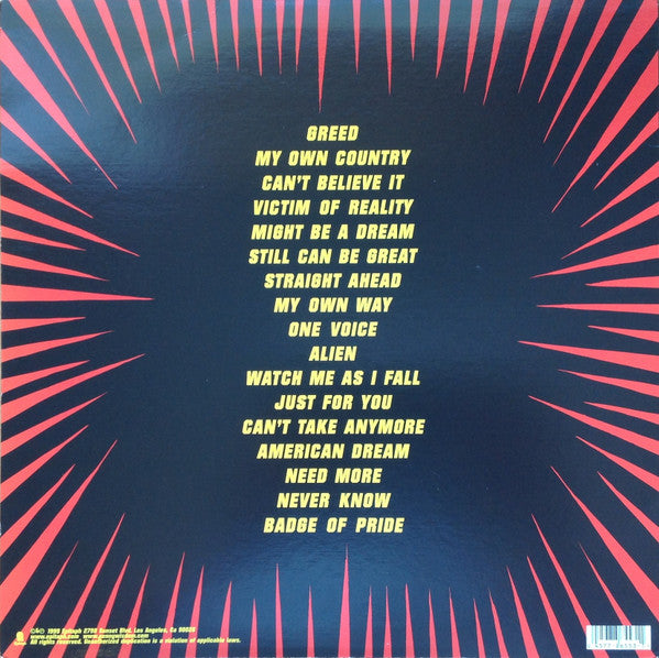 Pennywise – Straight Ahead (Used vinyl)