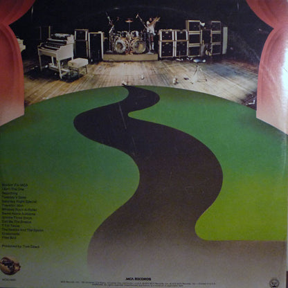 Lynyrd Skynyrd – One More From The Road (Used vinyl)