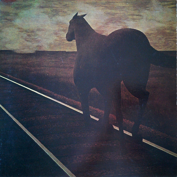 Bruce Cockburn – Night Vision (Used vinyl)