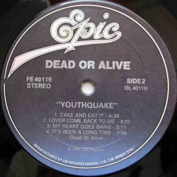 Dead Or Alive – Youthquake (Used vinyl)