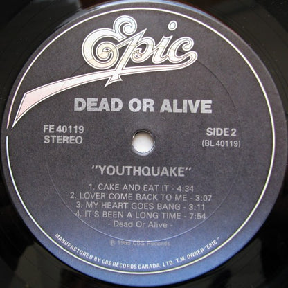 Dead Or Alive – Youthquake (Used vinyl)