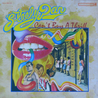 Steely Dan – Can't Buy A Thrill (Used vinyl)