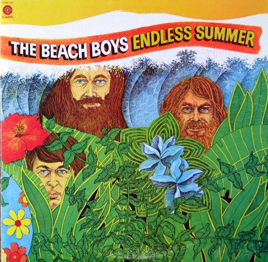 The Beach Boys ‎– Endless Summer (Used vinyl)