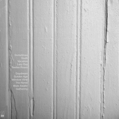 Beach Fossils – Beach Fossils (Used vinyl)