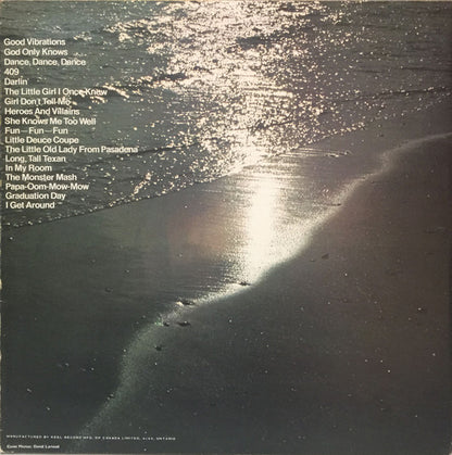 The Beach Boys – High Water (Used vinyl)
