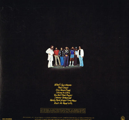 Lynyrd Skynyrd – Street Survivors (Used vinyl)