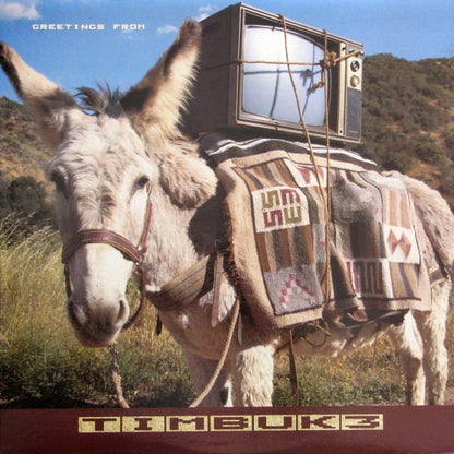 Timbuk 3 – Greetings From Timbuk 3 (Used vinyl)