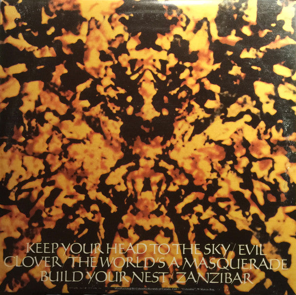 Earth, Wind & Fire – Head To The Sky (Used vinyl)