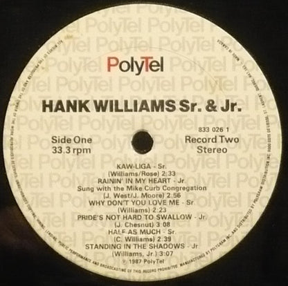 Hank Williams, Hank Williams Jr. – 24 Karat Hits - A Double Dozen Of All Time Greats (Used vinyl)