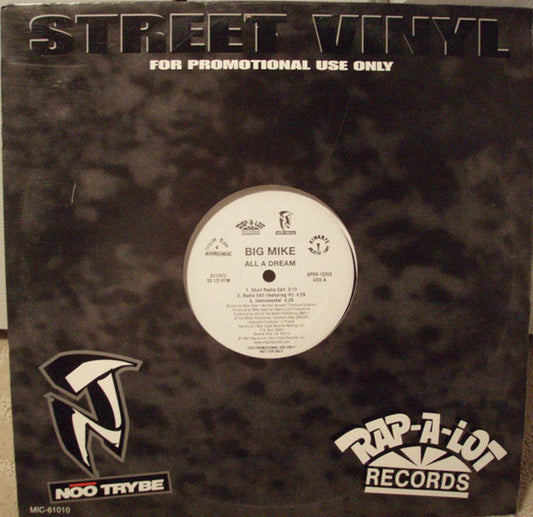 Big Mike ‎– All A Dream (Used vinyl)