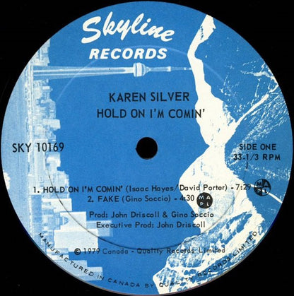 Karen Silver – Hold On I'm Comin' (Used vinyl)
