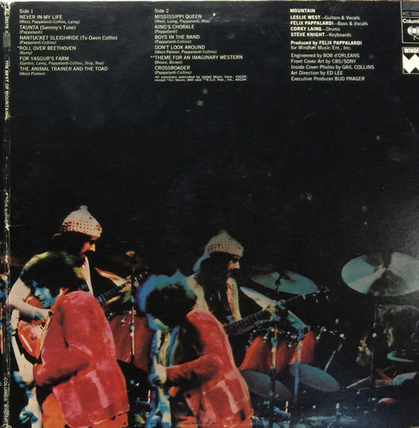 Mountain – The Best Of Mountain (Used vinyl)