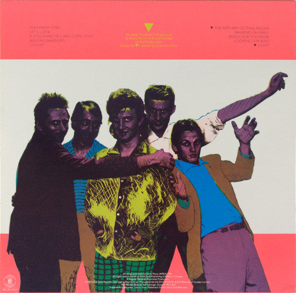 Mental As Anything – Cats & Dogs (Used vinyl)