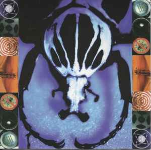 The Age Of Electric – Make A Pest A Pet (Used CD)