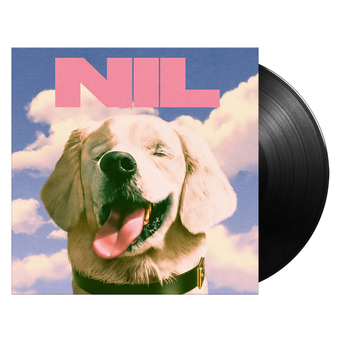 The Dirty Nil ‎– Fuck Art (New Vinyl)