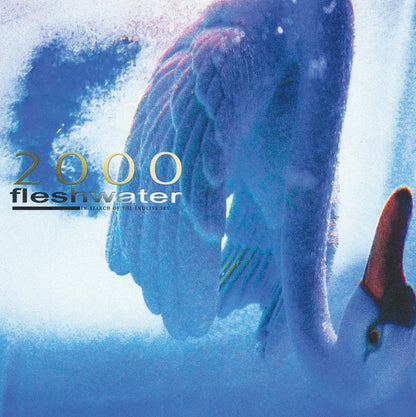 Fleshwater - 2000: In Search Of The Endless Sky (New Metallic Blue Vinyl)