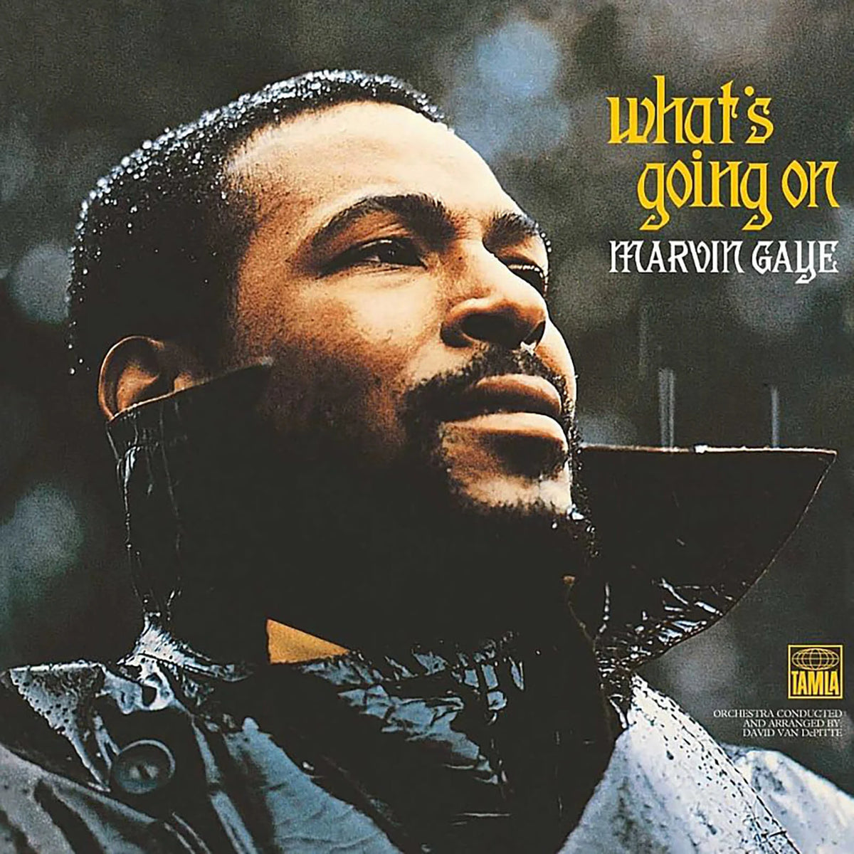Marvin Gaye – What's Going On (New Vinyl)