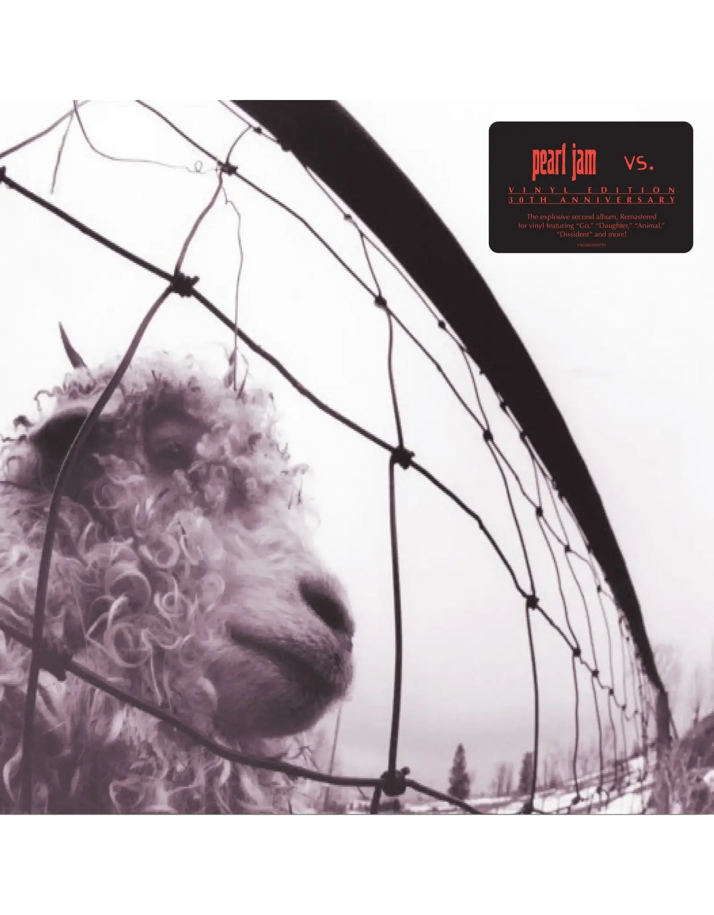 Pearl Jam - Vs. (30th Anniversary) [Exclusive Clear New Vinyl]