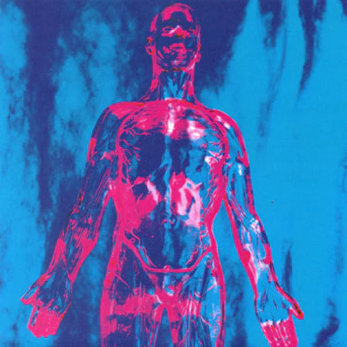 Nirvana 7" Sliver/Dive 45RPM
